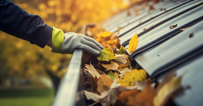 Autumn Siding Preparation