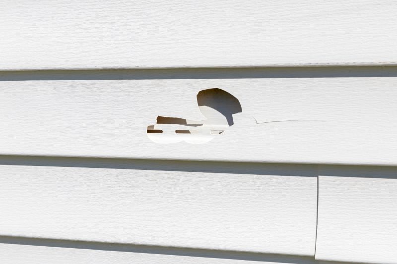 Vinyl Siding Repair - Professional Work