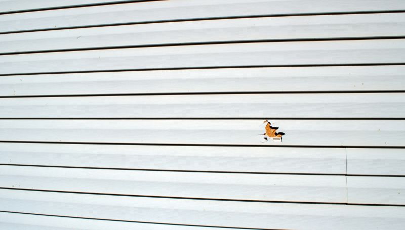 Siding repair experts at work